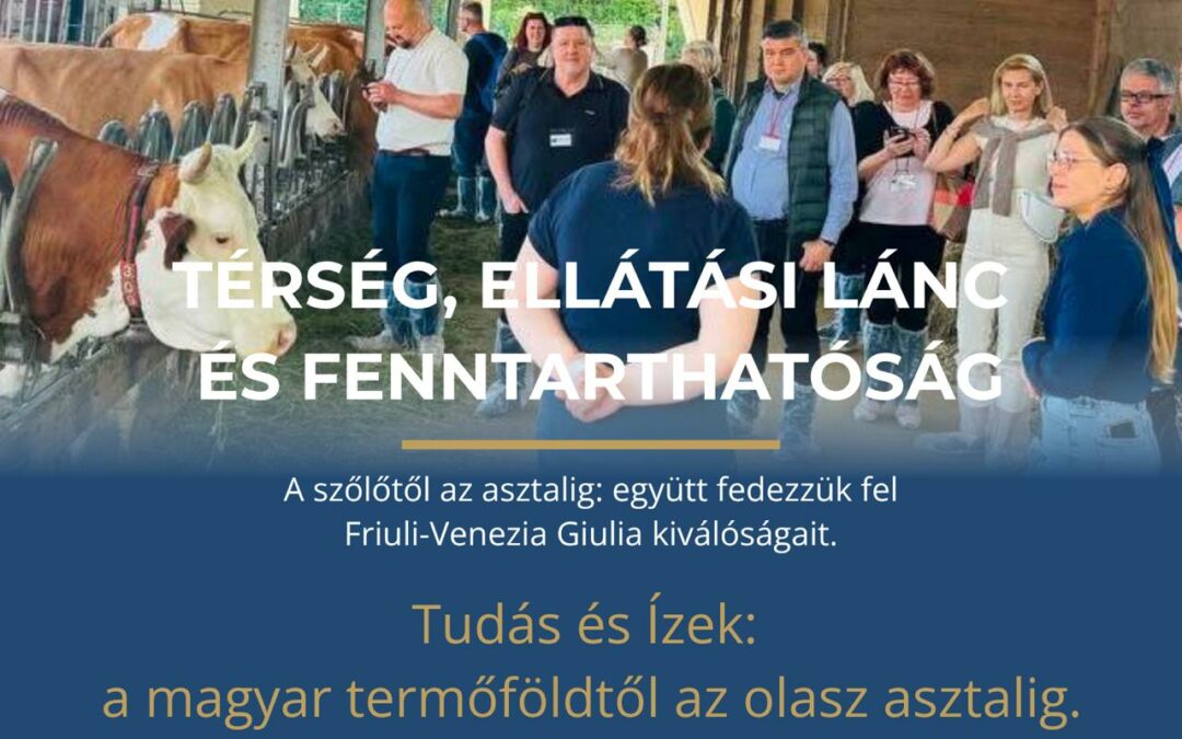 Amikor a térség európai tanulási térré válik