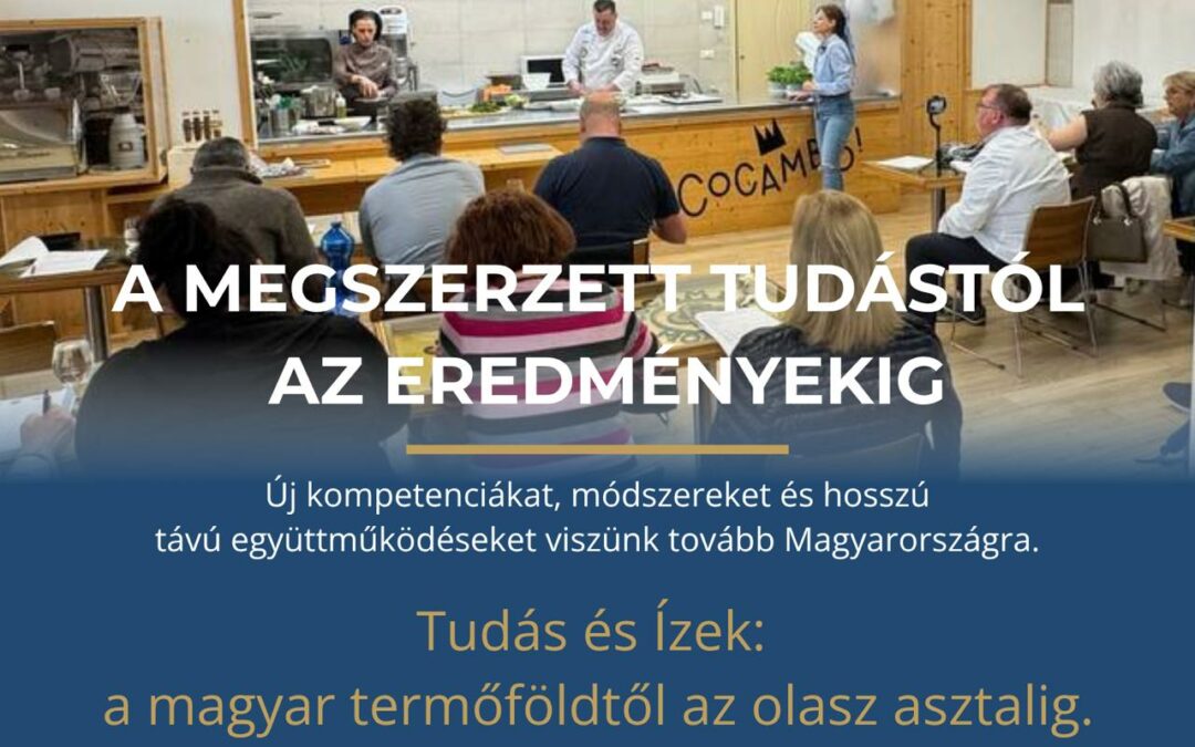 A tapasztalattól a kompetenciáig: amit hazaviszünk Magyarországra